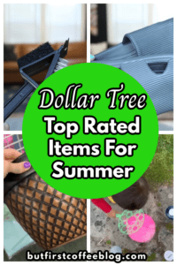 dollar tree top rated items for summer
